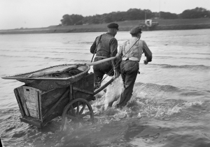 Fide Struck, Nordsee, Wattenmeer, zwei Krabbenfischer ziehen Karre an Land, um 1932